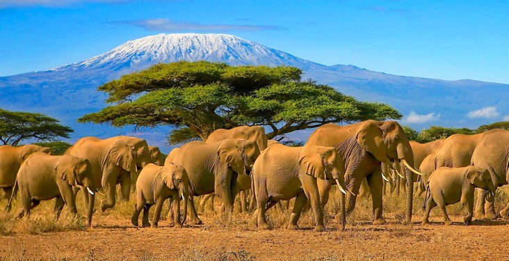 Country spotlight: Tanzania