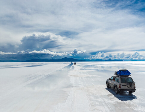 NEW TRIPS:<br>Explore our new trips