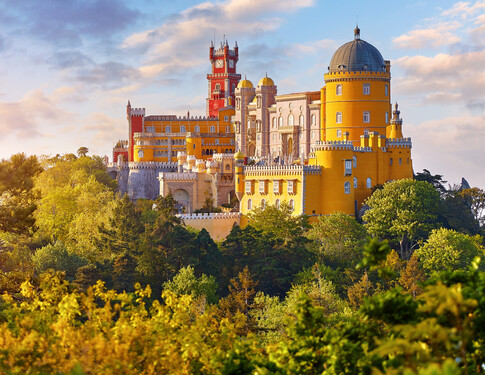 Classic Discovery & Wildlife Sale