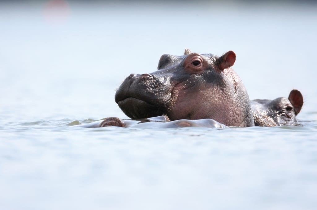 Tanzania Holidays & Tours