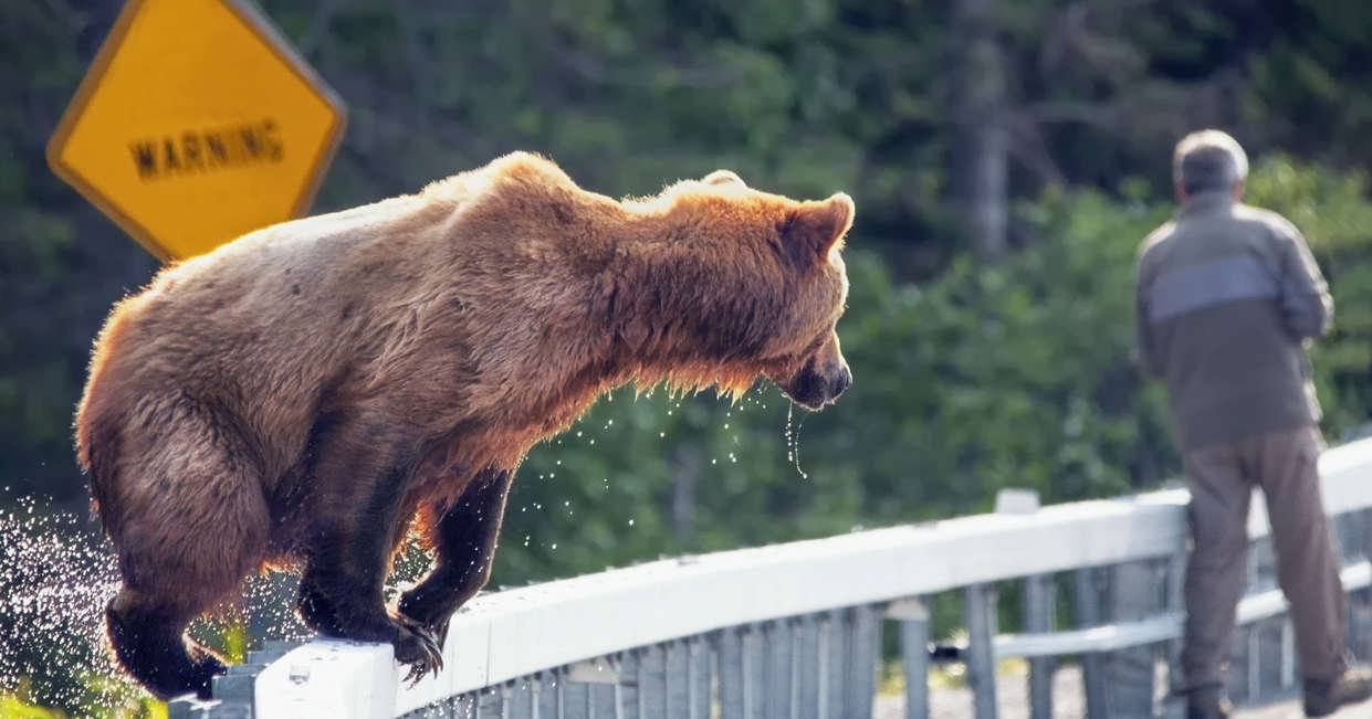 tourhub | Explore! | Outdoor Alaska 