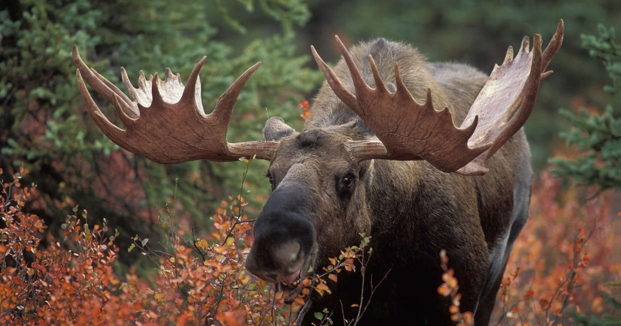 tourhub | Explore! | Outdoor Alaska 