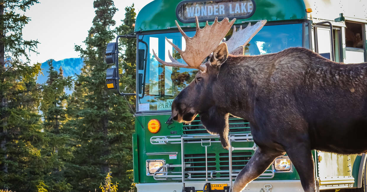 tourhub | Explore! | Outdoor Alaska 