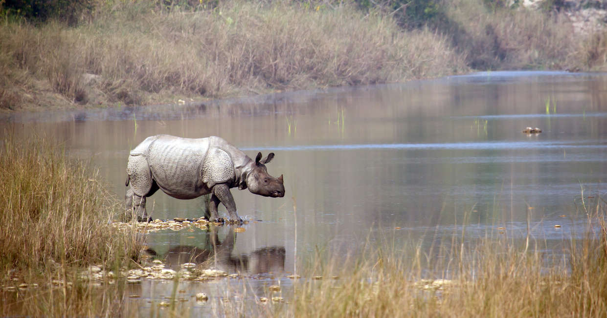 tourhub | Explore! | Highlights of Assam and Nagaland 