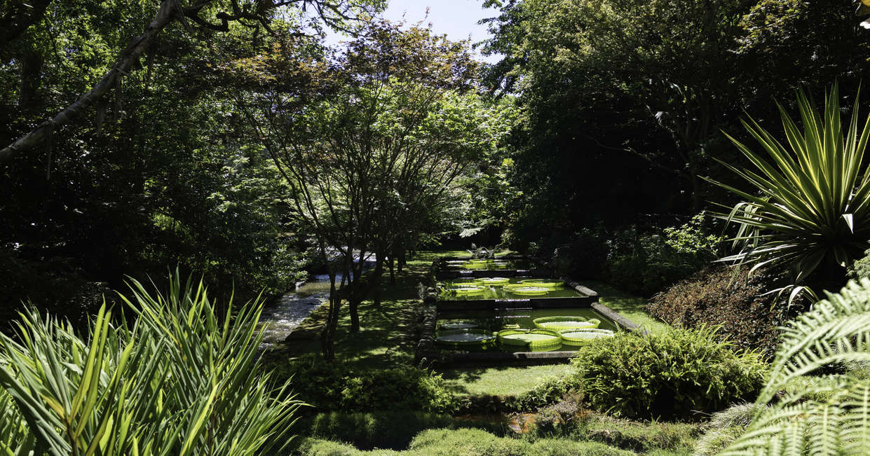 Botanical gardens of Terra Nostra