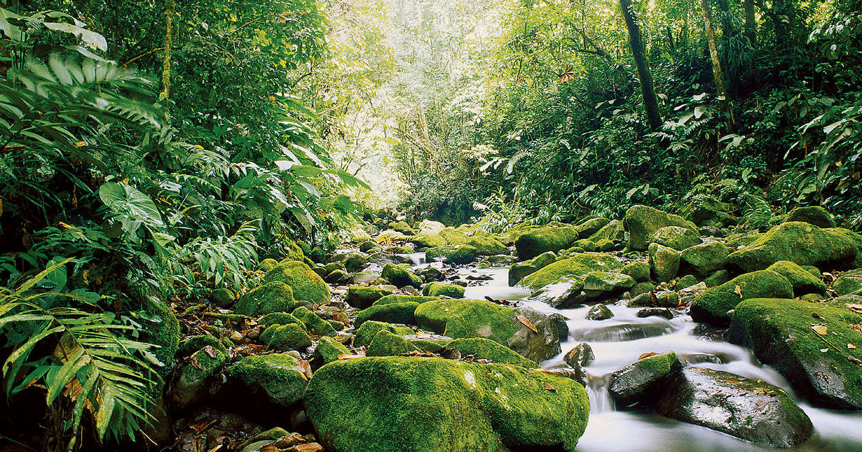 tourhub | Explore! | Family Costa Rica Rainforest and Wildlife Adventure 