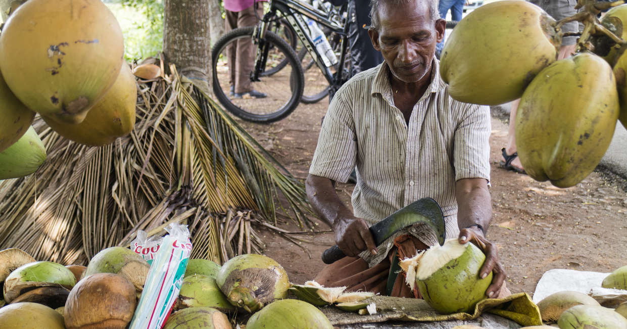 tourhub | Explore! | Cycle Kerala 