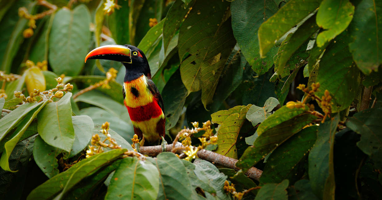 tourhub | Explore! | Cycle Nicaragua to the Panama Canal 