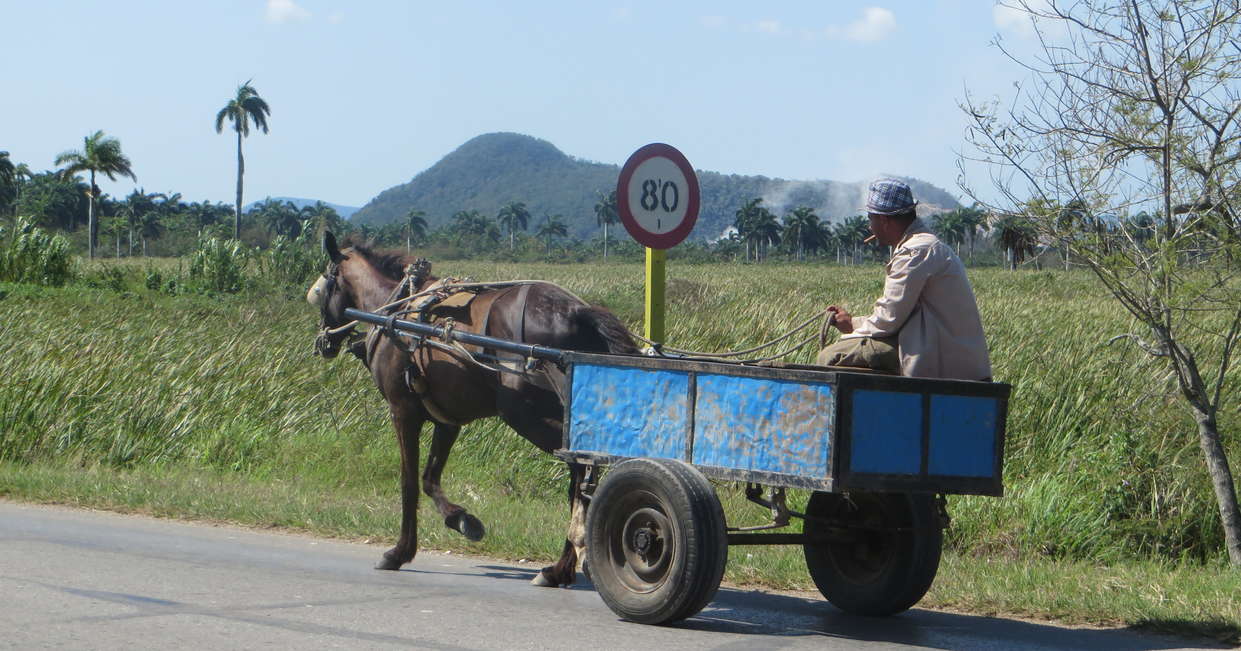 tourhub | Explore! | Highlights of Cuba by Bicycle 