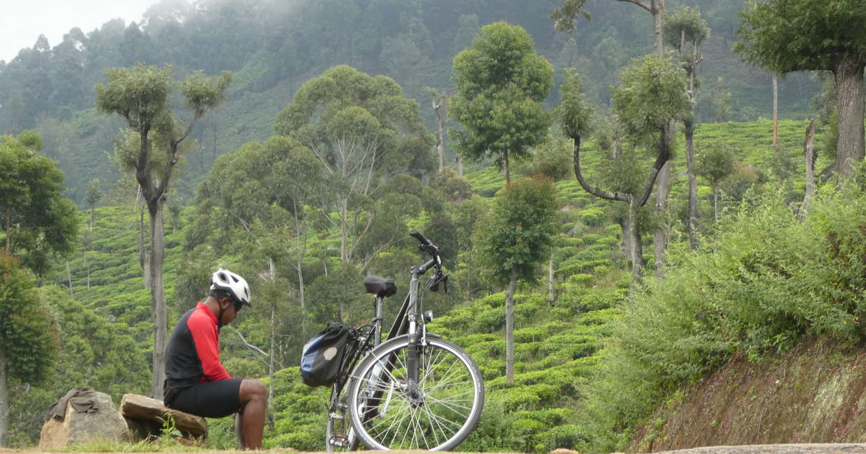 tourhub | Explore! | Cycle Sri Lanka 