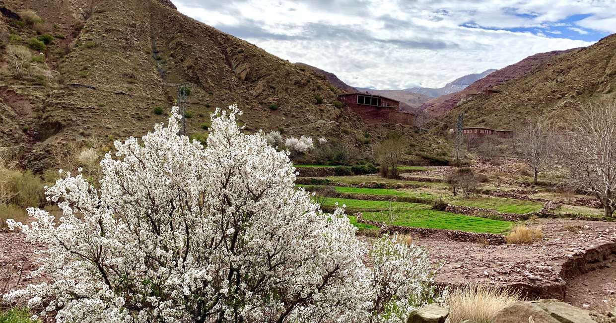 tourhub | Explore! | Cycle Morocco - Atlas to the Sahara 