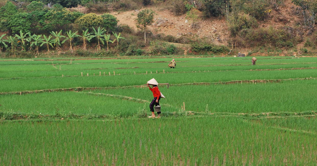 tourhub | Explore! | Family Vietnam In Depth 