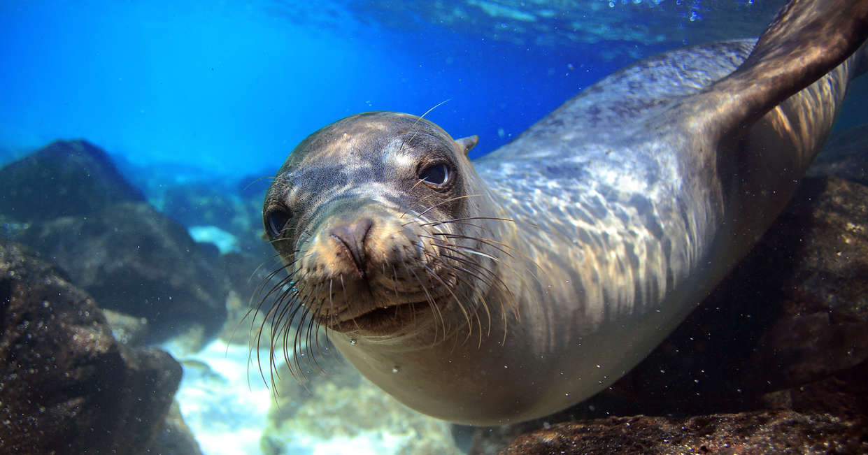 tourhub | Explore! | Volcanoes and Galapagos 