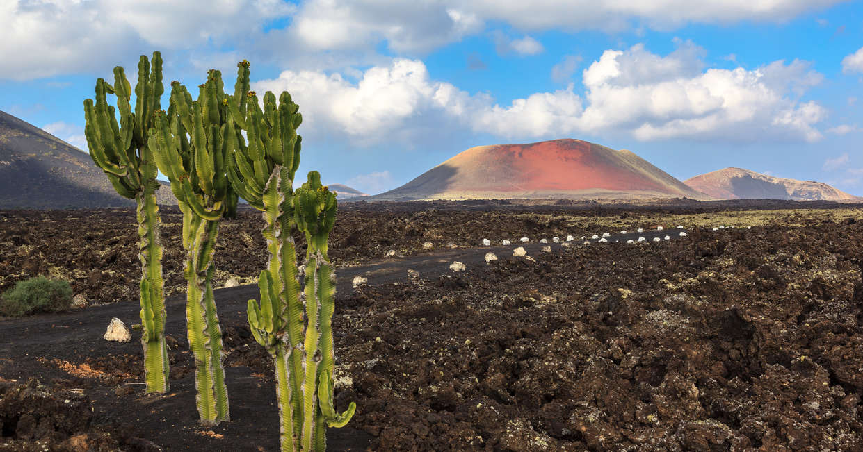 tourhub | Explore! | Canary Islands Walking - Lanzarote 