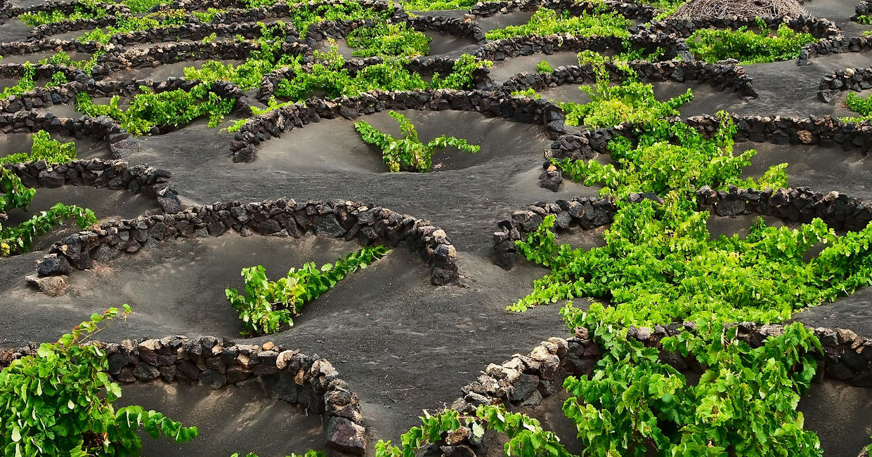 tourhub | Explore! | Canary Islands Walking - Lanzarote 