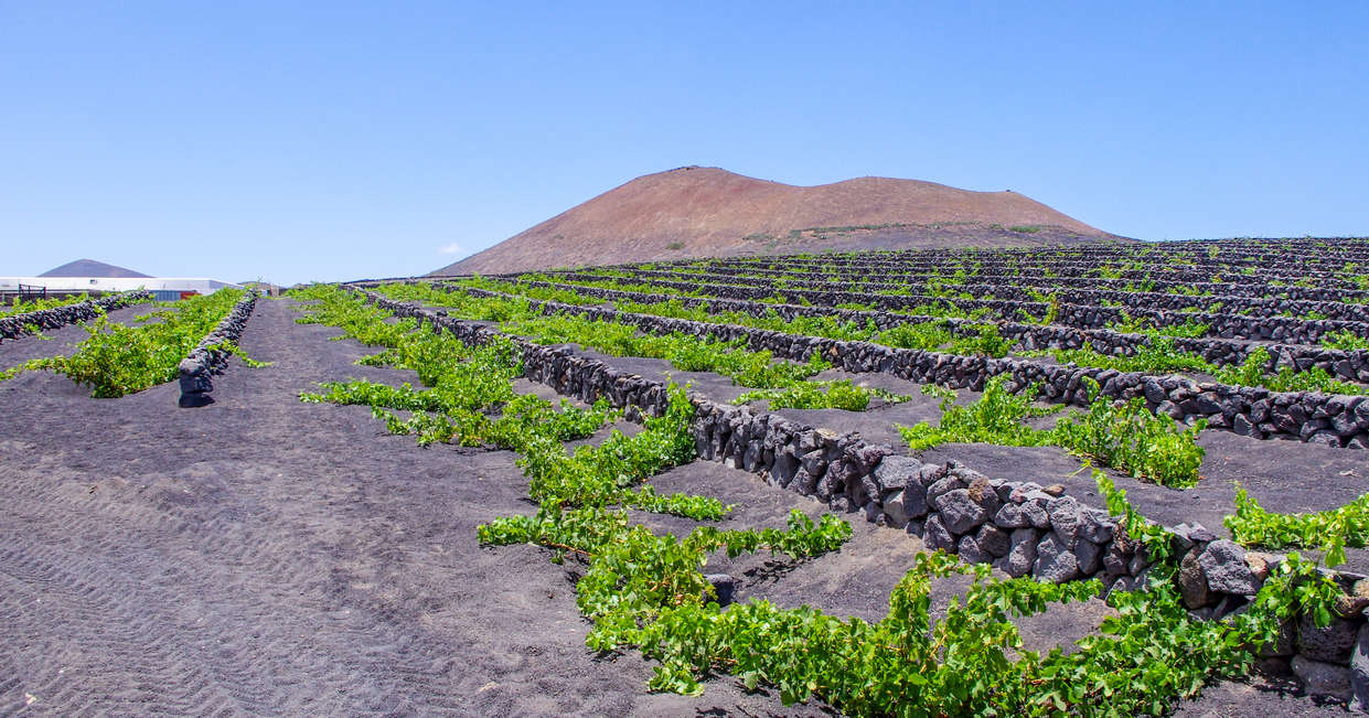 tourhub | Explore! | Canary Islands Walking - Lanzarote 