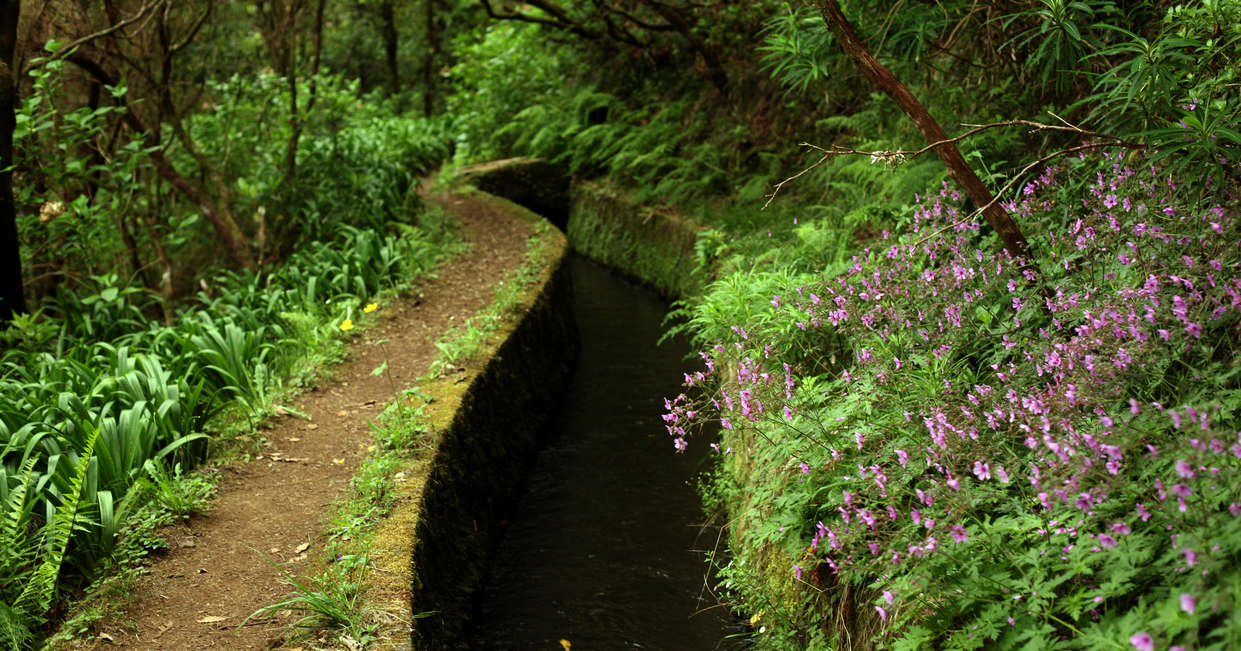 tourhub | Explore! | Madeira Island Discovery 