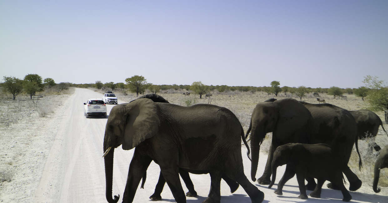 tourhub | Explore! | Namibia Lodge Safari 