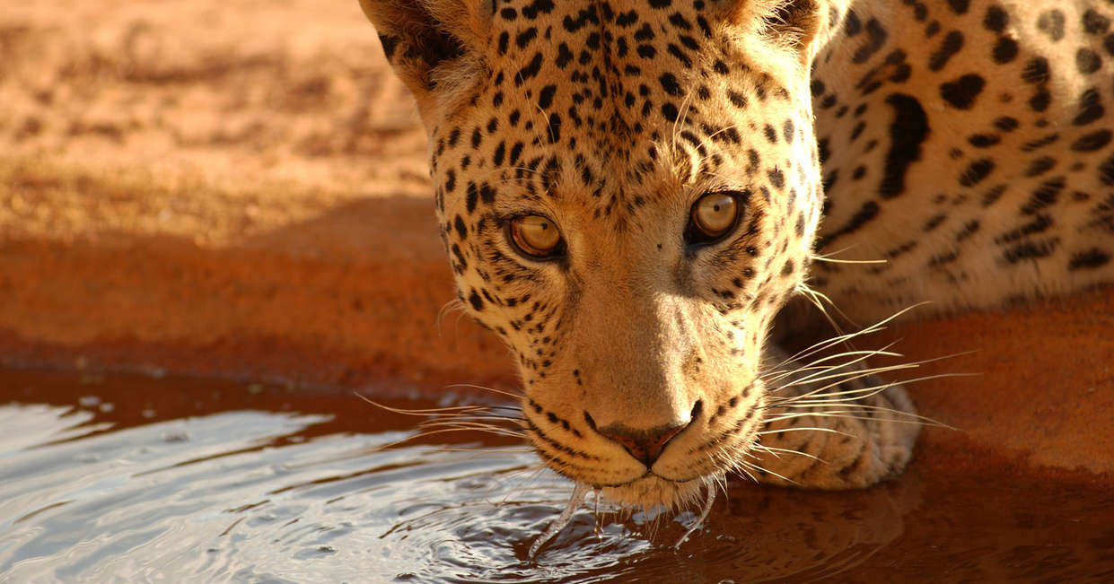 tourhub | Explore! | Namibia Lodge Safari 