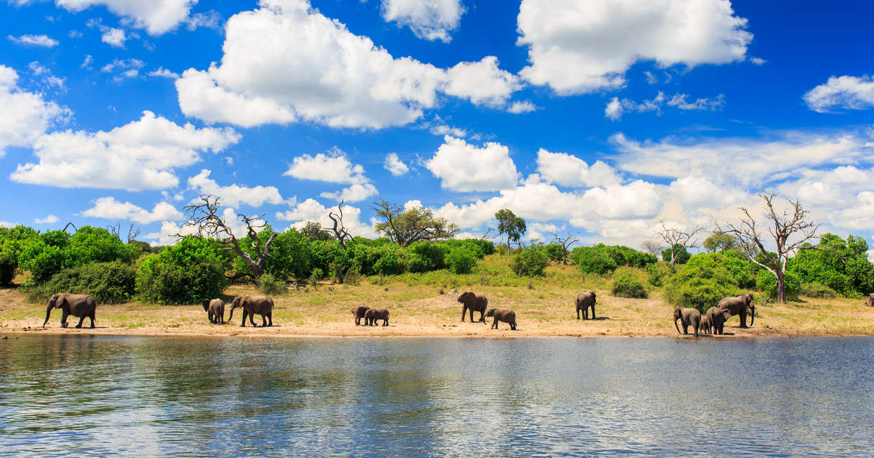 tourhub | Explore! | Botswana's Premium Safari | OZ
