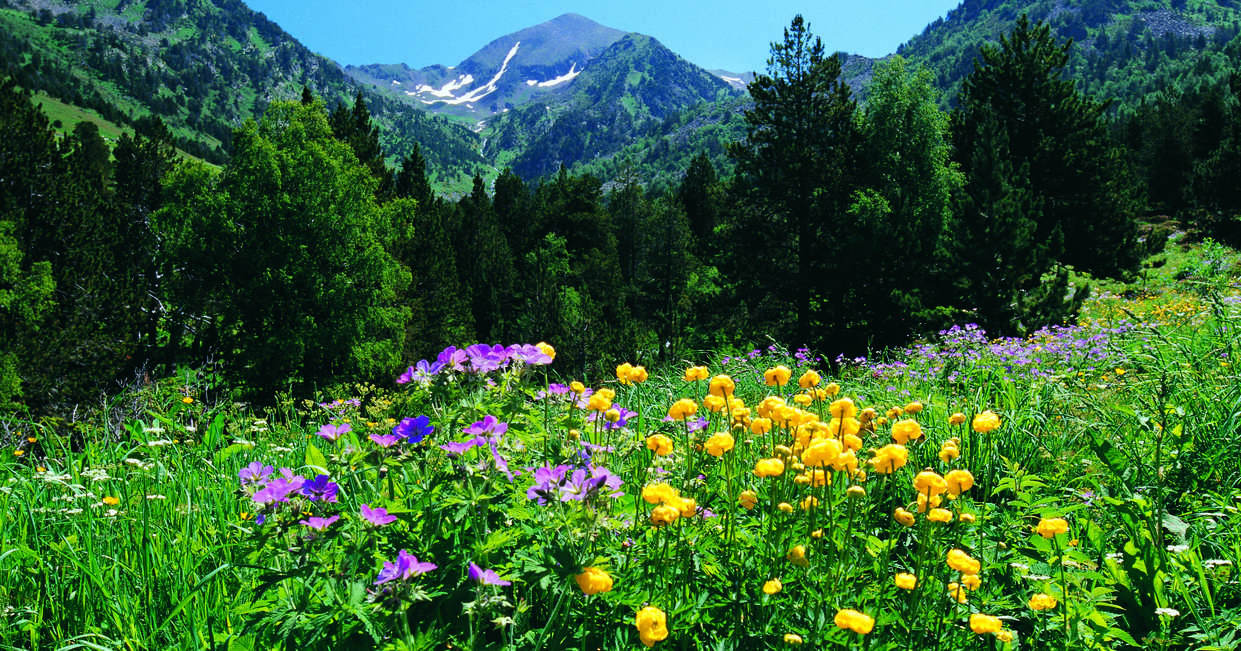 tourhub | Explore! | Walking in the Pyrenees 