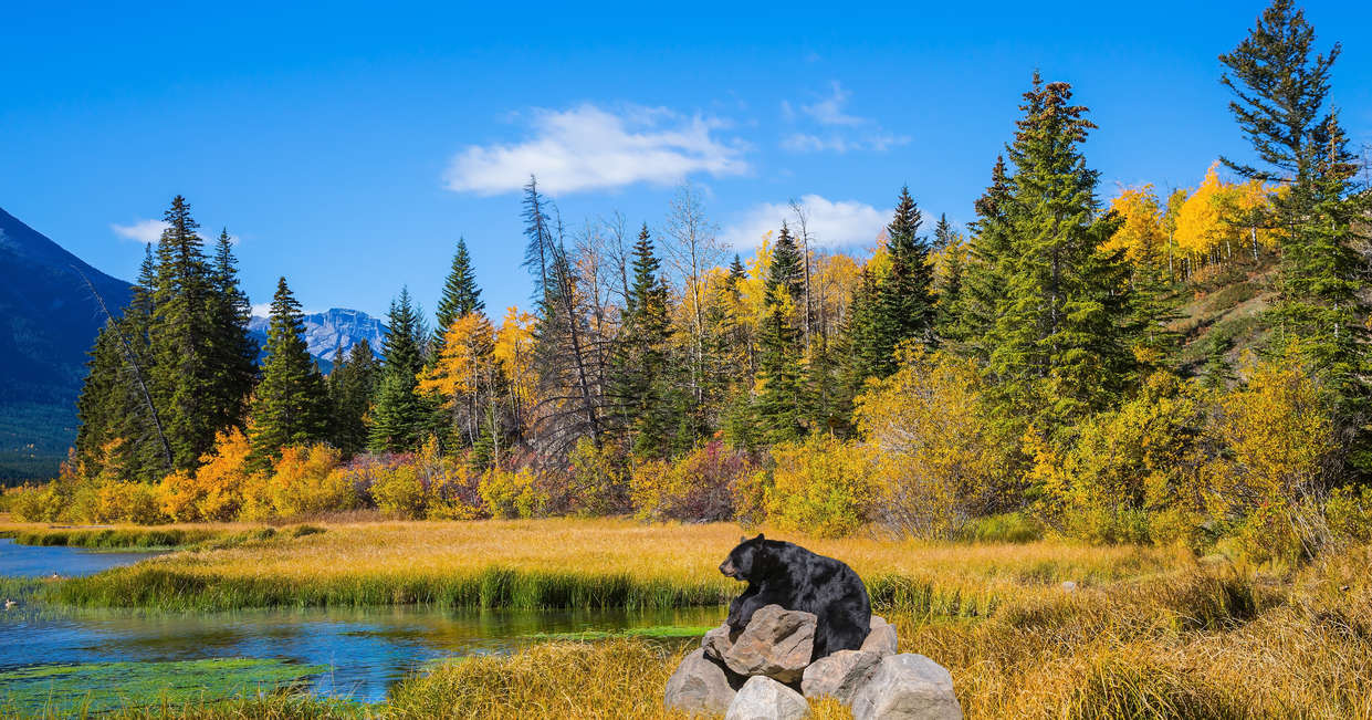 tourhub | Explore! | Canadian Rockies and Pacific Coast 