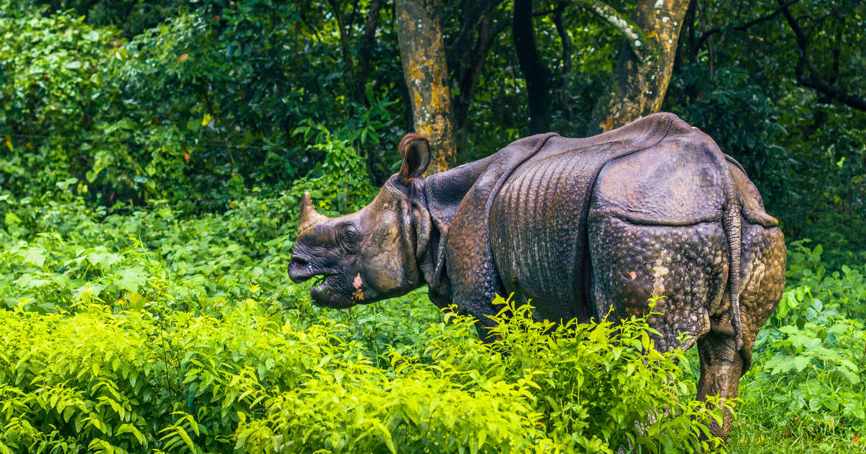 tourhub | Explore! | Walking the Annapurna Foothills 