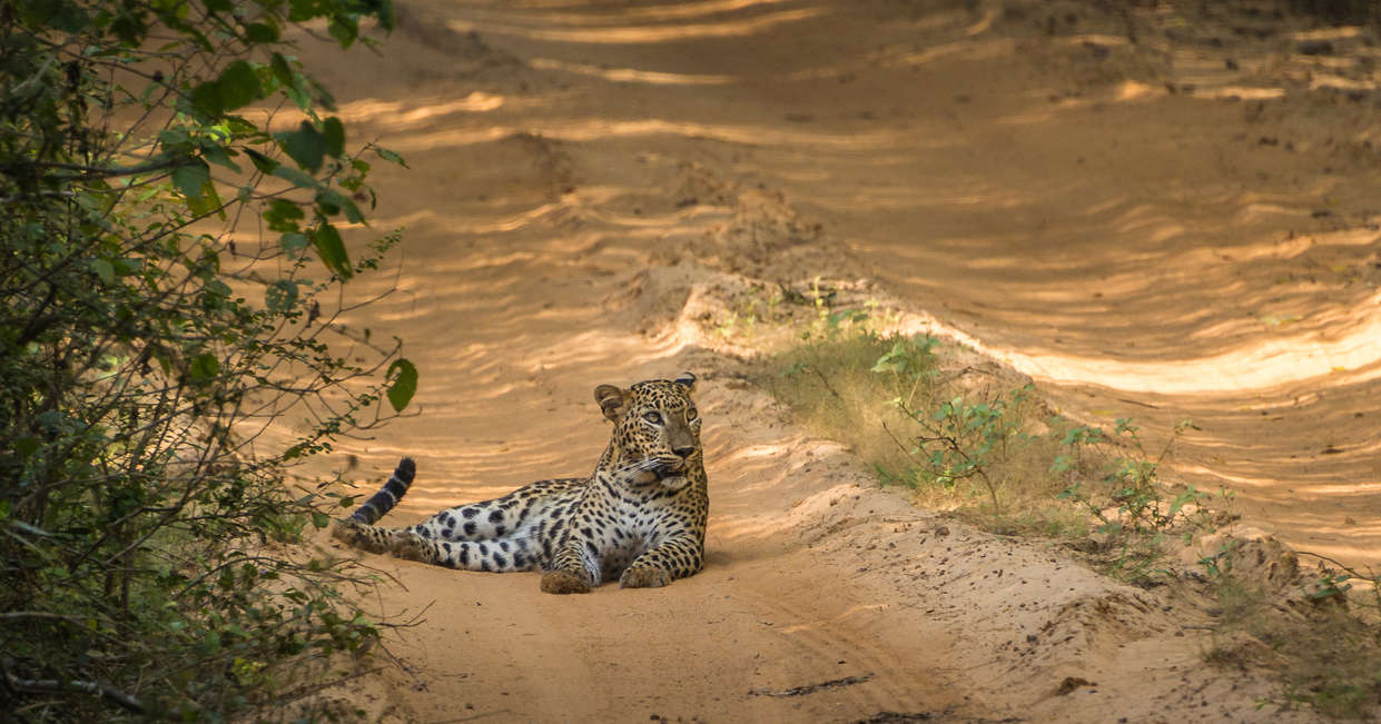 tourhub | Explore! | Sri Lanka in Depth 