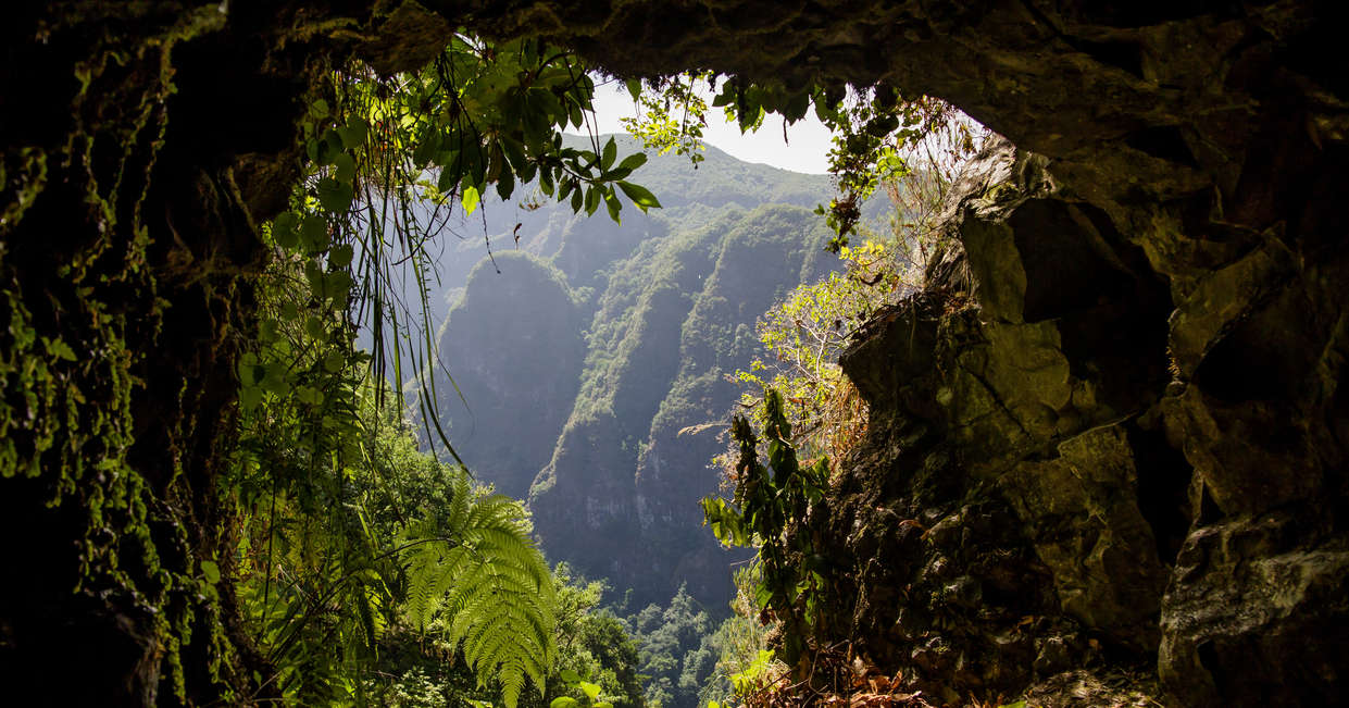 tourhub | Explore! | Madeira Island Discovery 