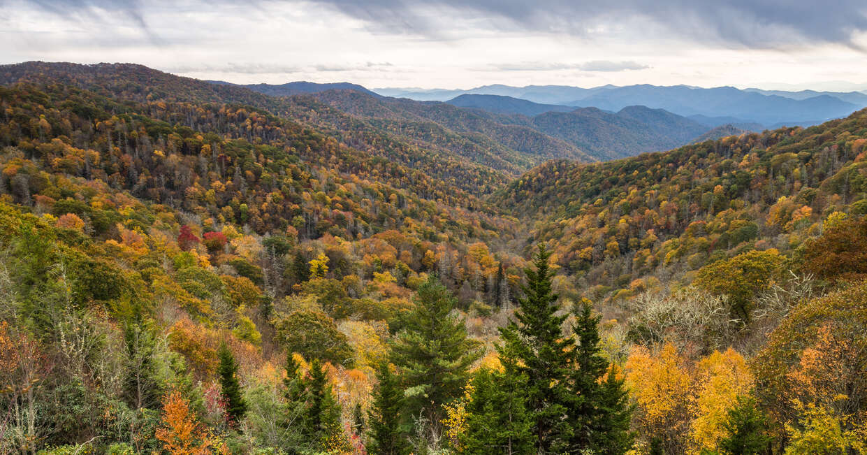 tourhub | Explore! | USA's Deep South - Country & Blues 