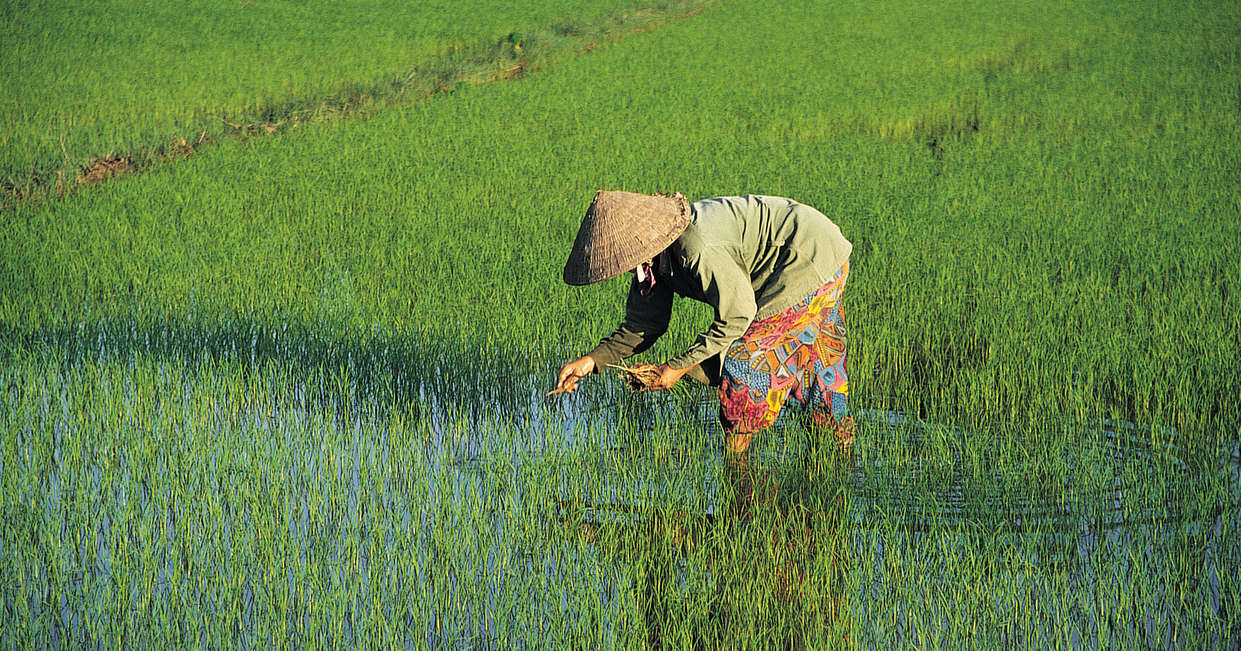 tourhub | Explore! | Vietnam Explorer 