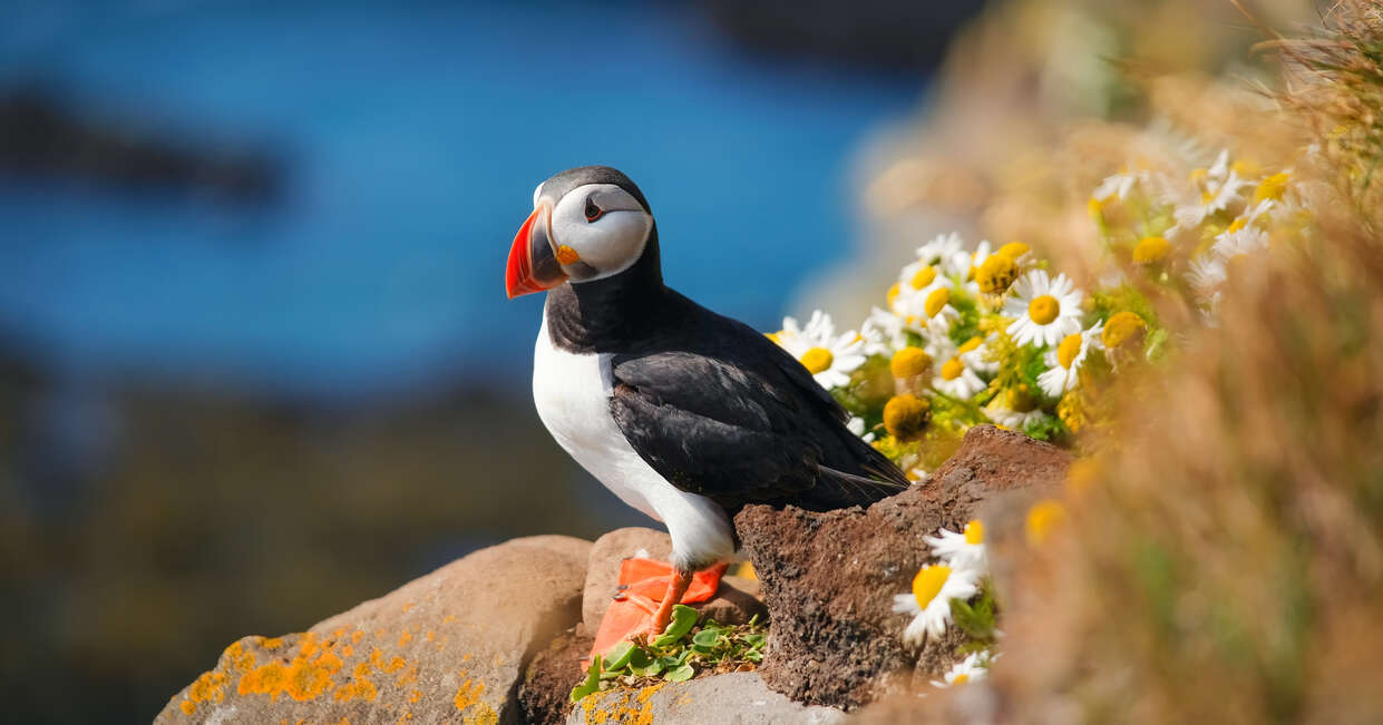 tourhub | Explore! | Walking in the Faroe Islands 