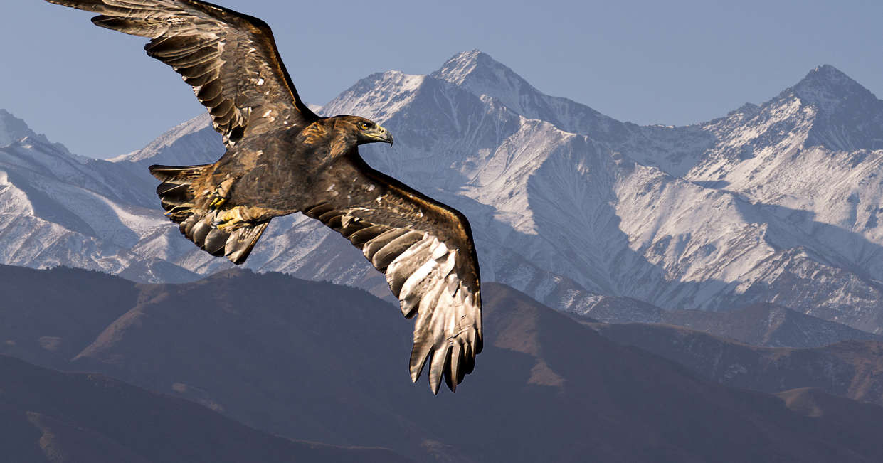 tourhub | Explore! | Walking in Kyrgyzstan 