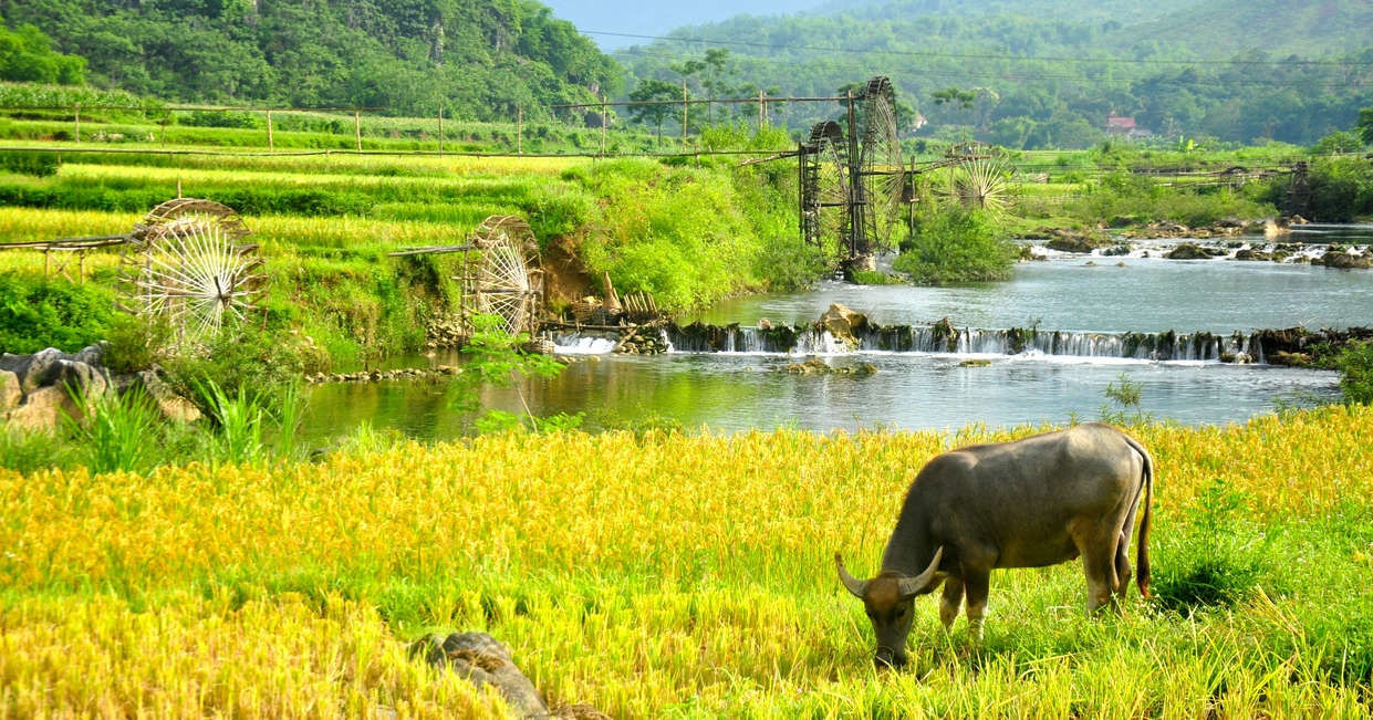 tourhub | Explore! | Walking in Vietnam 