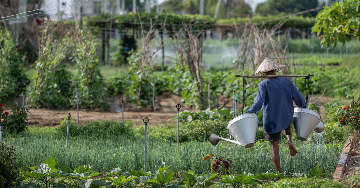 tourhub | Explore! | A Taste of Vietnam - Halong Bay to the Mekong Delta 