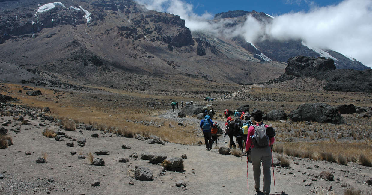 tourhub | Explore! | Kilimanjaro - Lemosho Trek + Safari Extension 