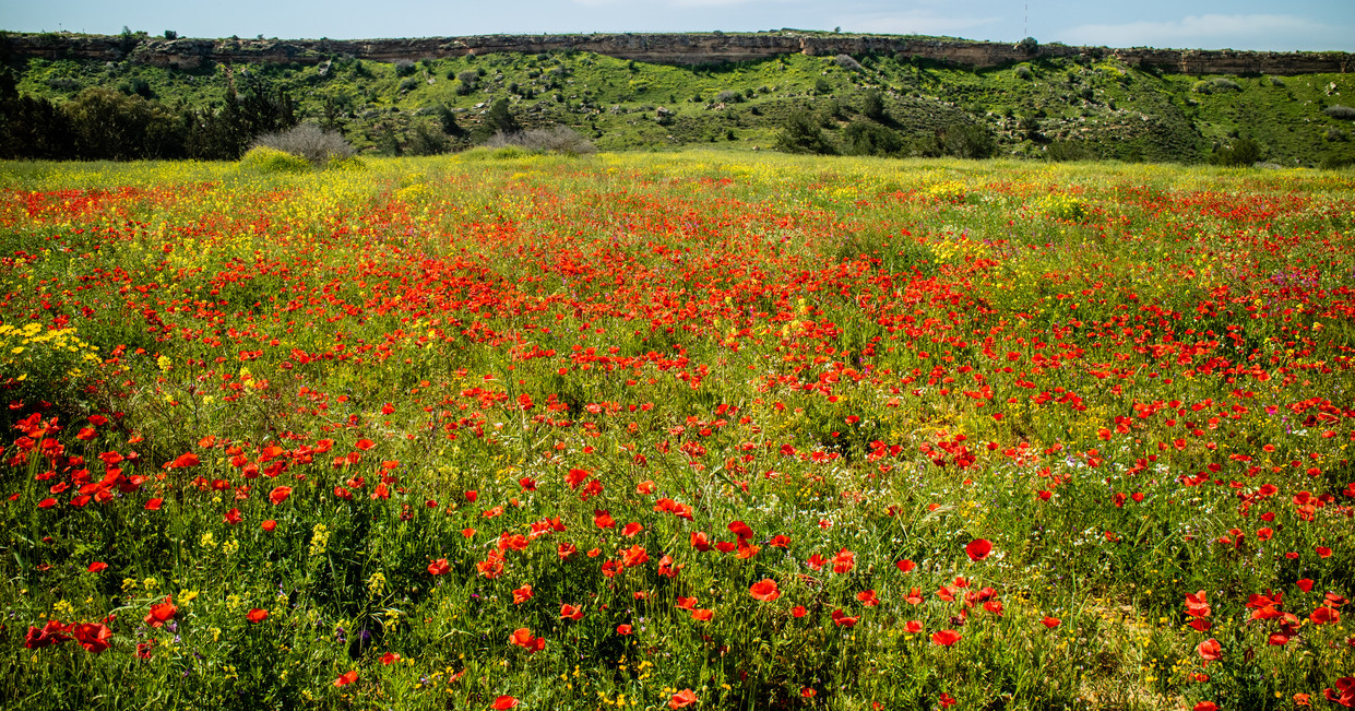 tourhub | Explore! | Walking in Northern Cyprus 