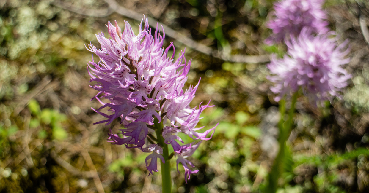 tourhub | Explore! | Walking in Northern Cyprus 