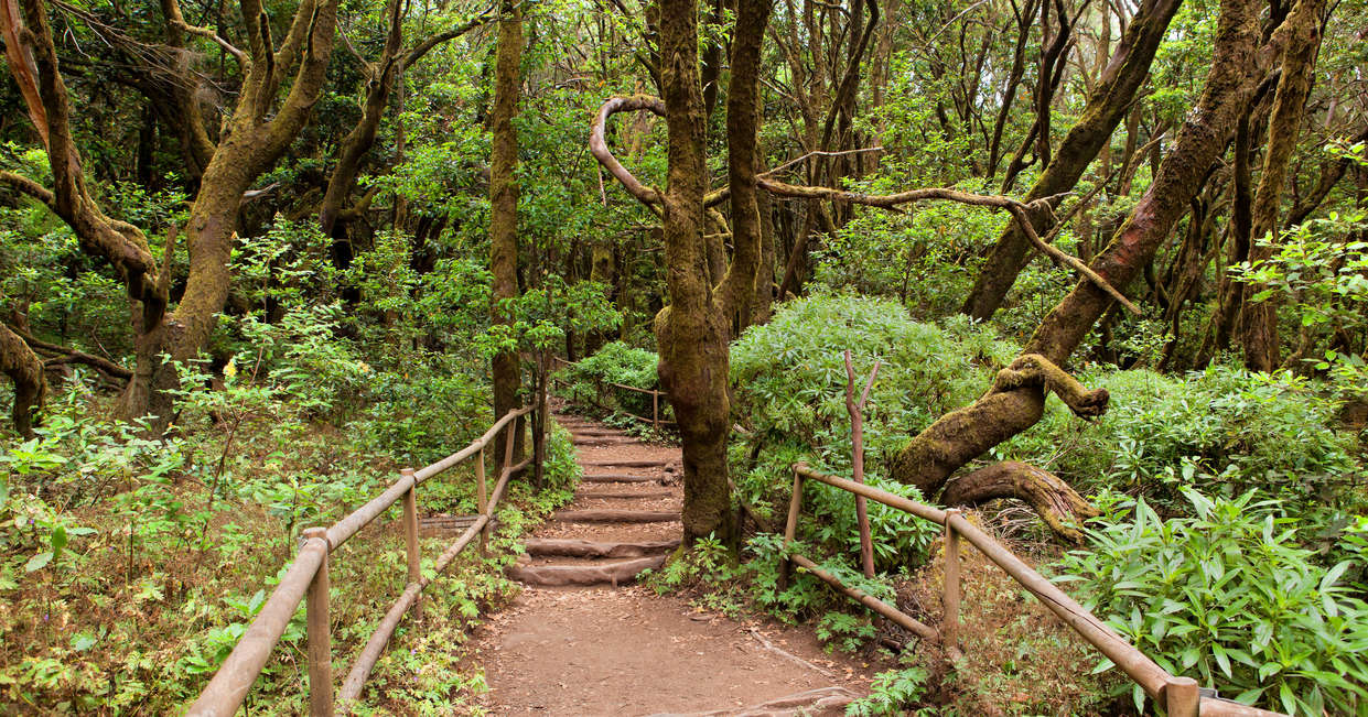 tourhub | Explore! | Canary Islands Walking - La Gomera and Tenerife 