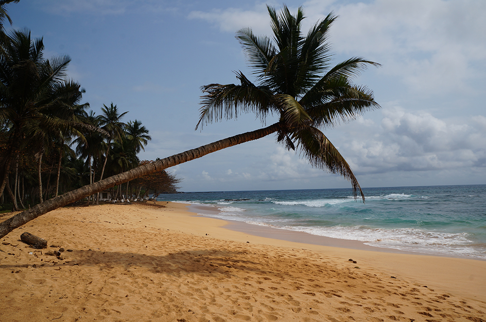 Tour | Sao Tome with Kathleen Becker | Explore! | SAT